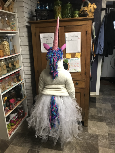 Last Minute Unicorn Costume. - Clem's Crazy Critters